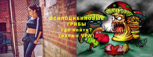 трава Коряжма