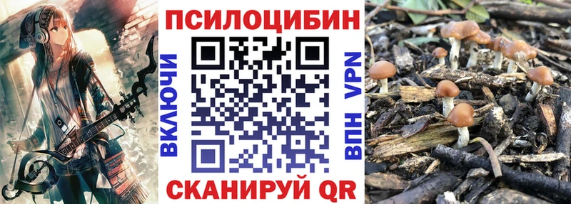 Псилоцибиновые грибы Psilocybe купить закладку Покров